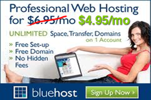 www.bluehost.com